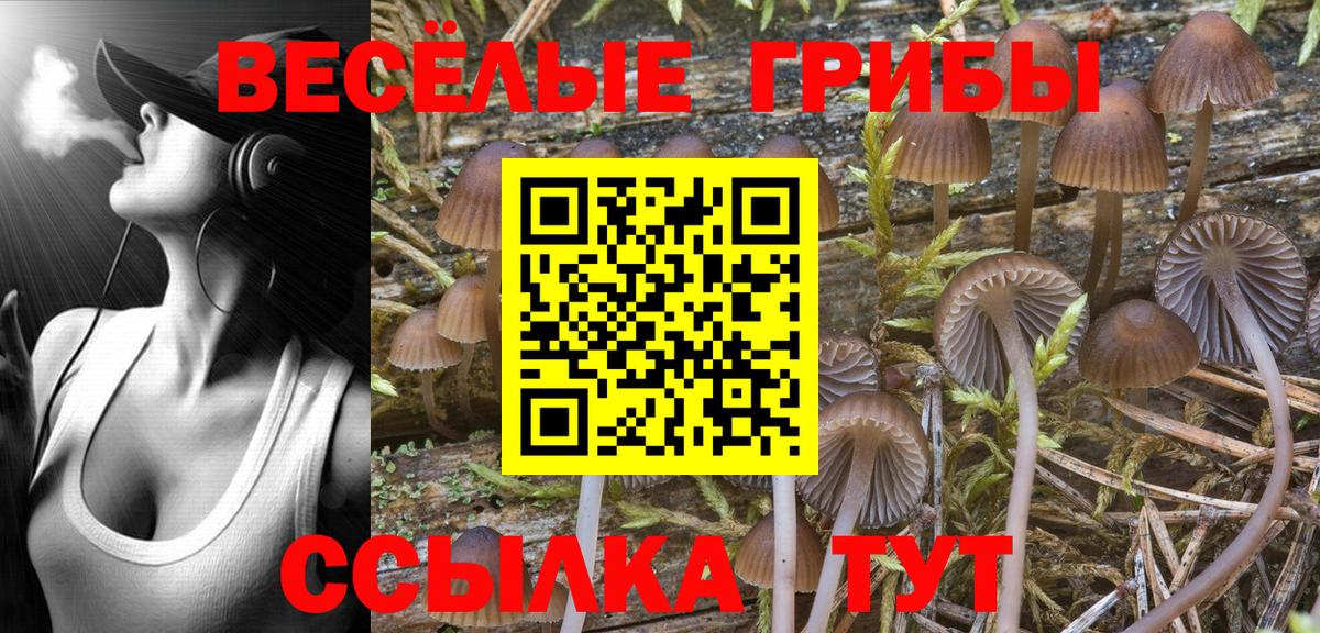 Галлюциногенные грибы Cubensis  Вход с VPN  Лысьва 