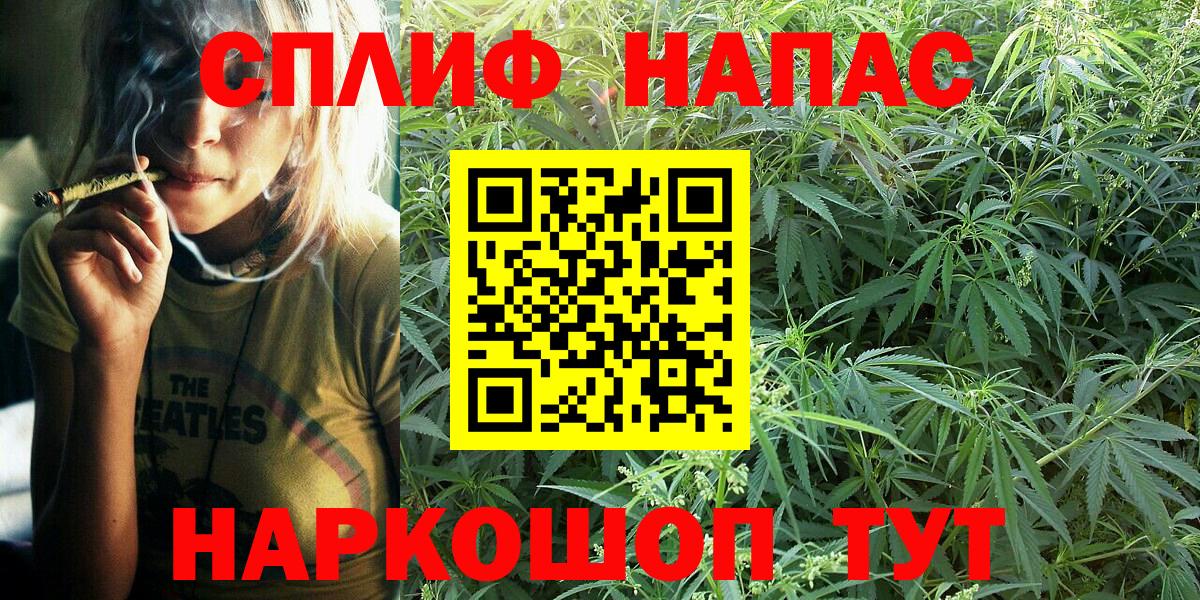 Бошки марихуана план Лысьва